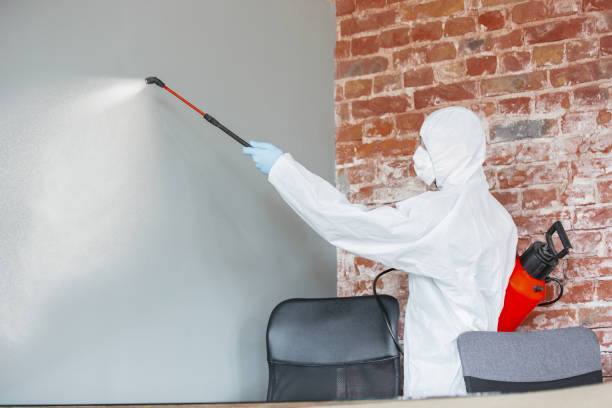 Best Mold Documentation for Insurance Claims  in Country Club Estates, GA