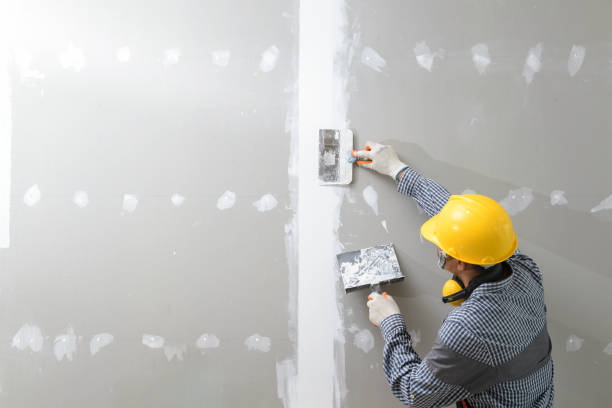 Best Mold-Related Health Consultation  in Country Club Estates, GA
